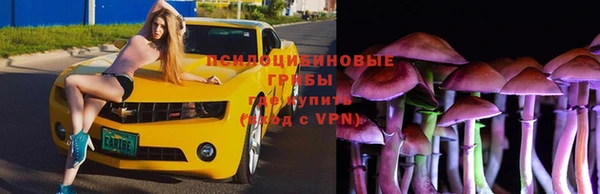 дмт Нягань