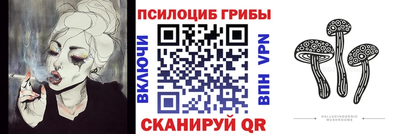 Галлюциногенные грибы прущие грибы  хочу наркоту  Очёр 